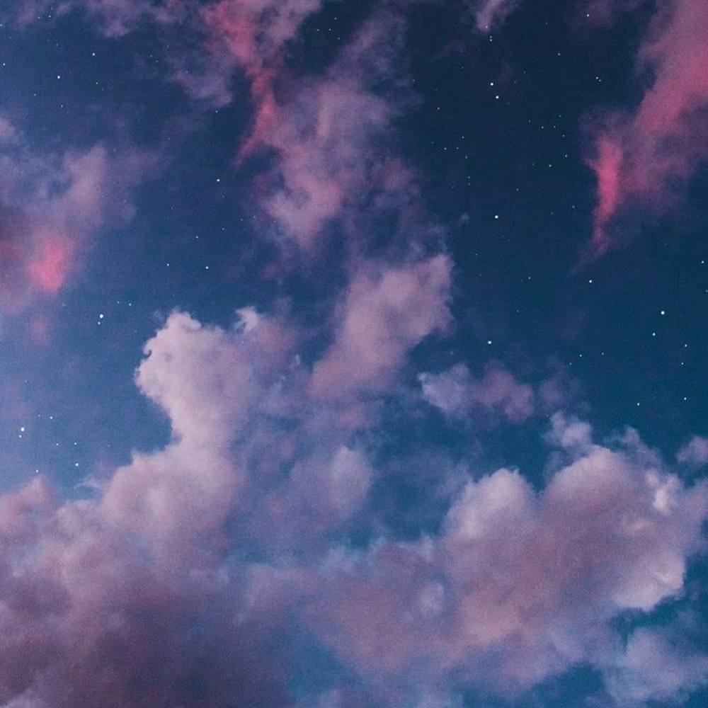 Meet your Posher, Bailey